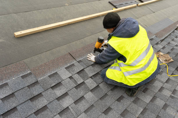 Best Storm Damage Roof Repair  in Savanna, IL