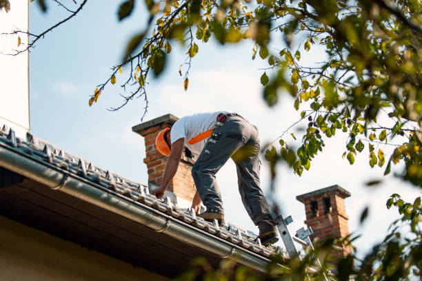 Best Commercial Roof Installation  in Savanna, IL