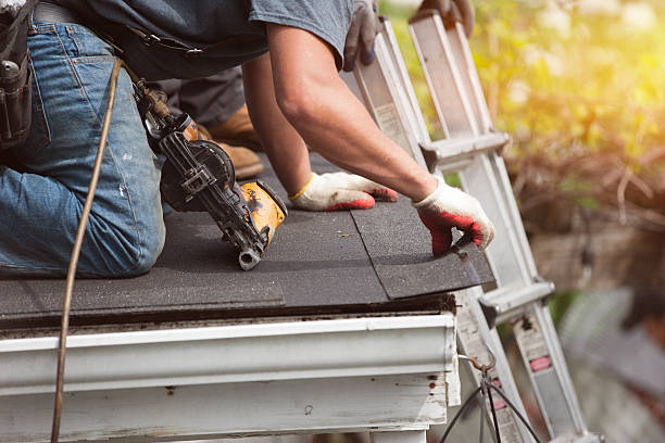 Best Storm Damage Roof Repair  in Savanna, IL